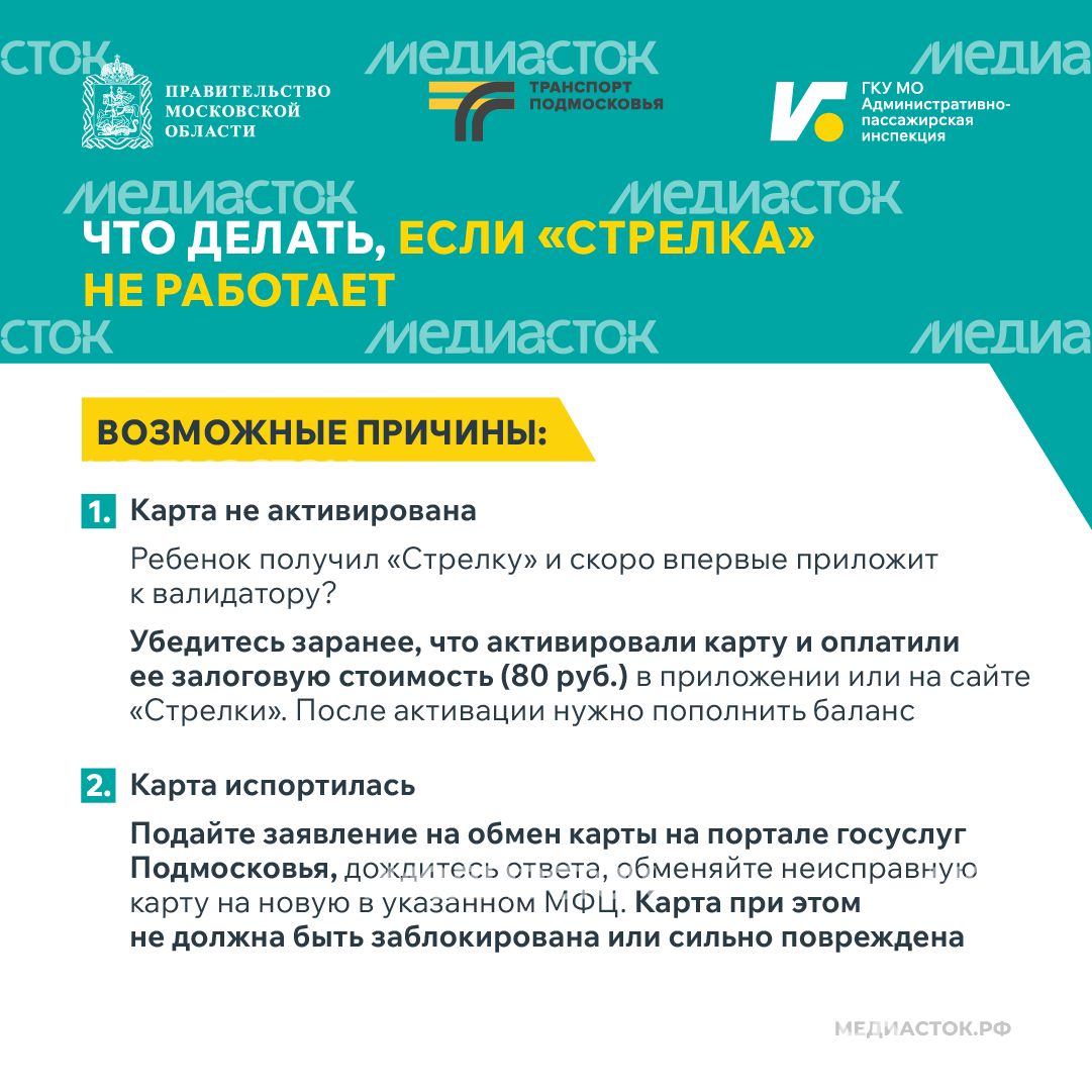 Поездки школьников в автобусах квадрат 02