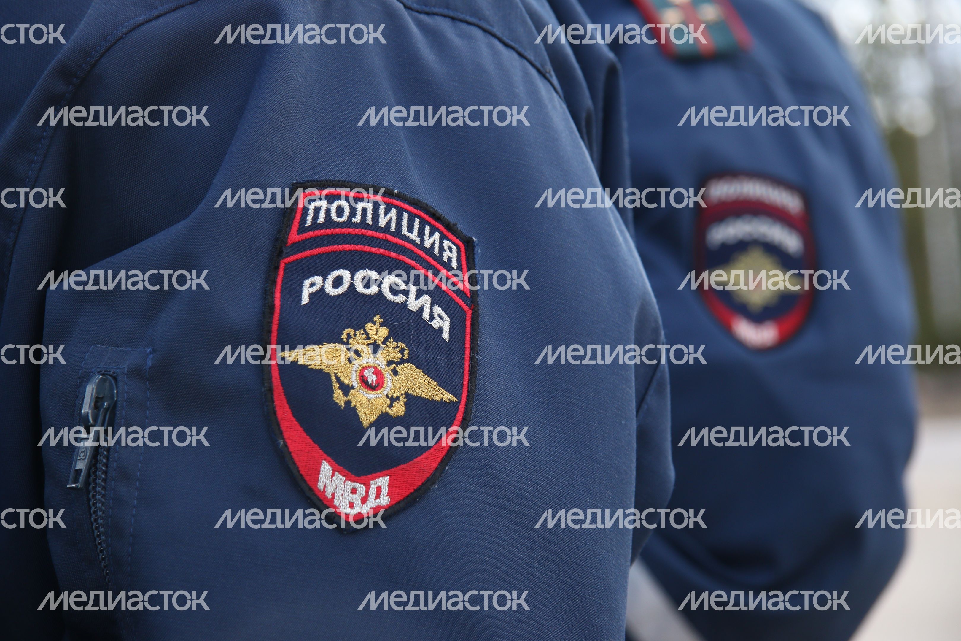Дубненская полиция