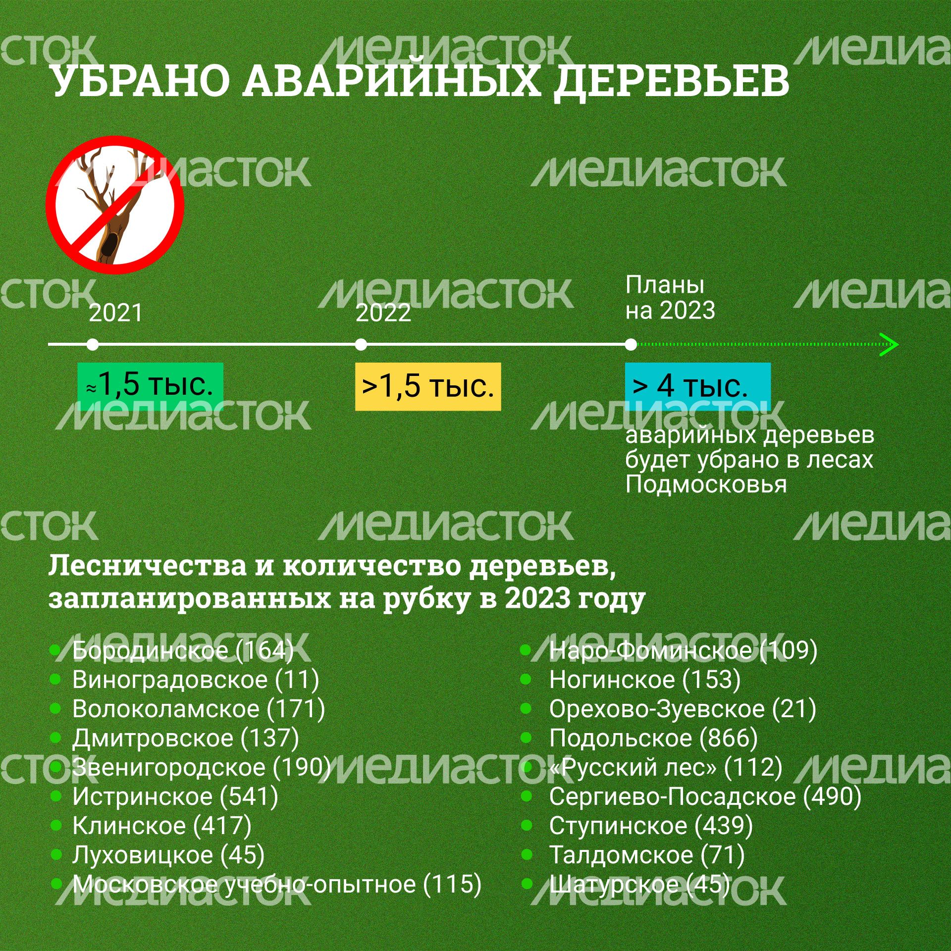 Квадрат_-аварийные-деревья_04.jpg
