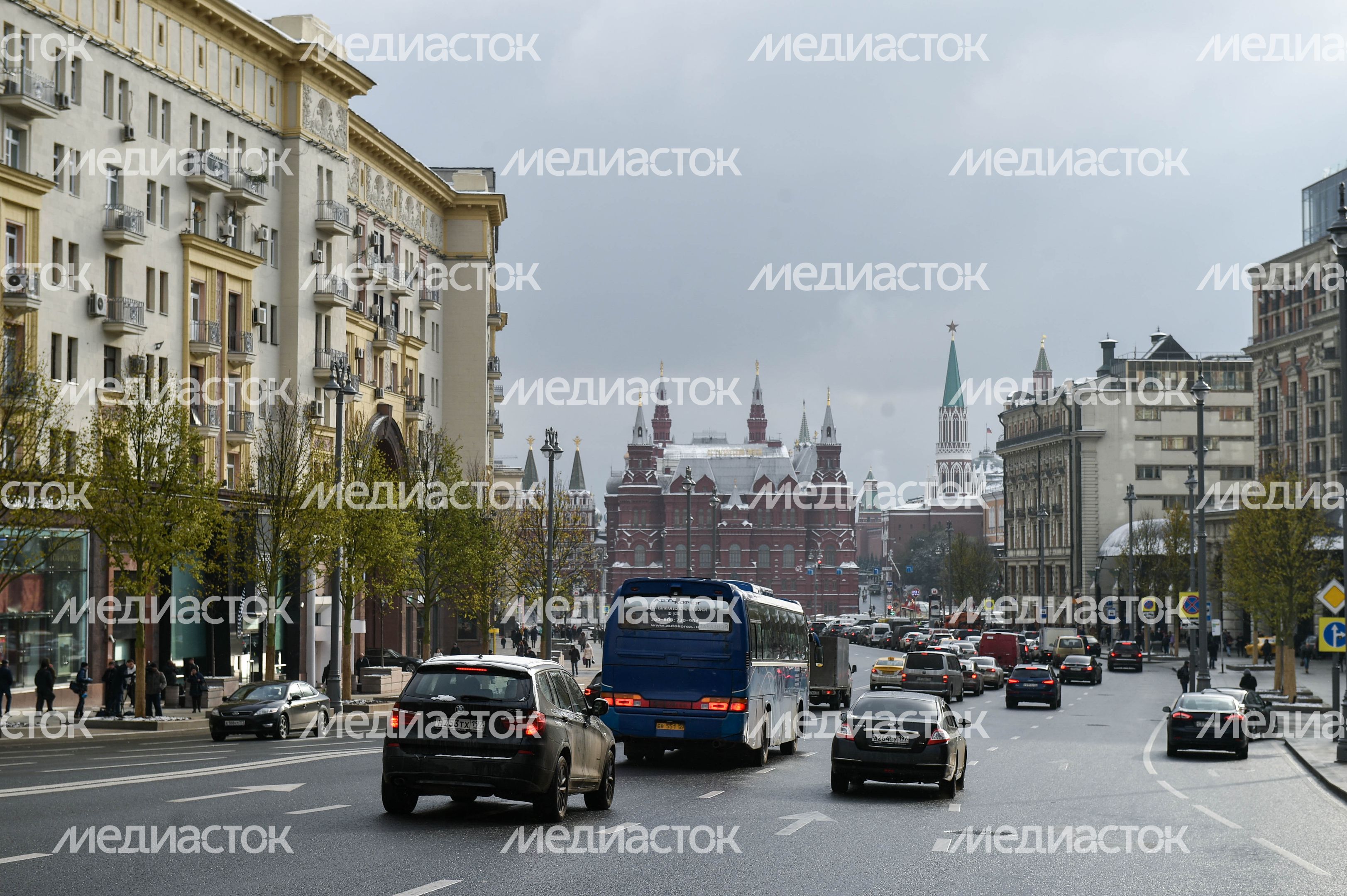 Посадка лип на Тверской улице