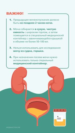 Подготовка к исследованию мочи Вертикаль 06