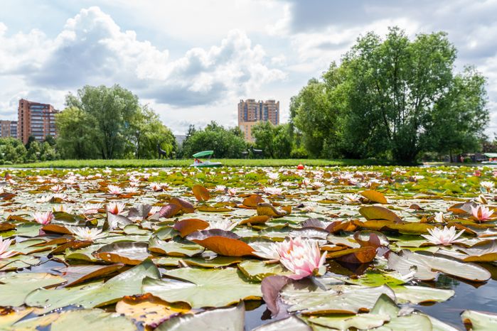 Центральная площадь в городе Одинцово