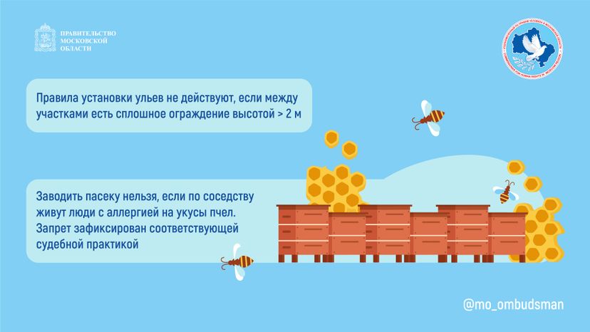 Горизонталь Вопрос-ответ. Пчеловодство-04.jpg