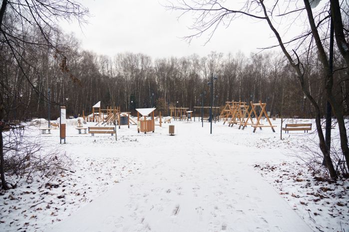 Люберцы. Томилинский лесопарк. Зима