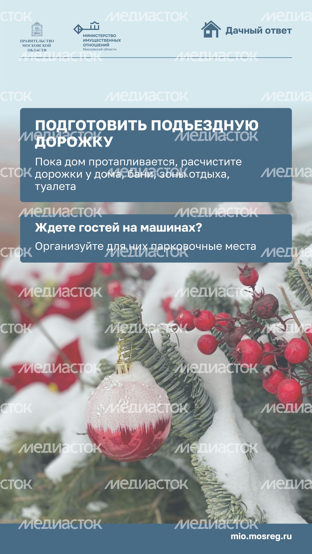 новый год на даче-вертикаль-03