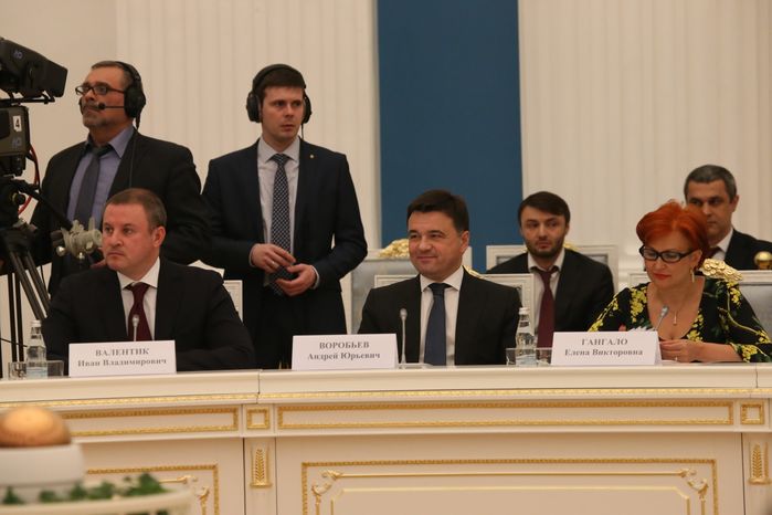 Андрей Воробьев принял участие в заседании организационного комитета по проведению в России Года экологии