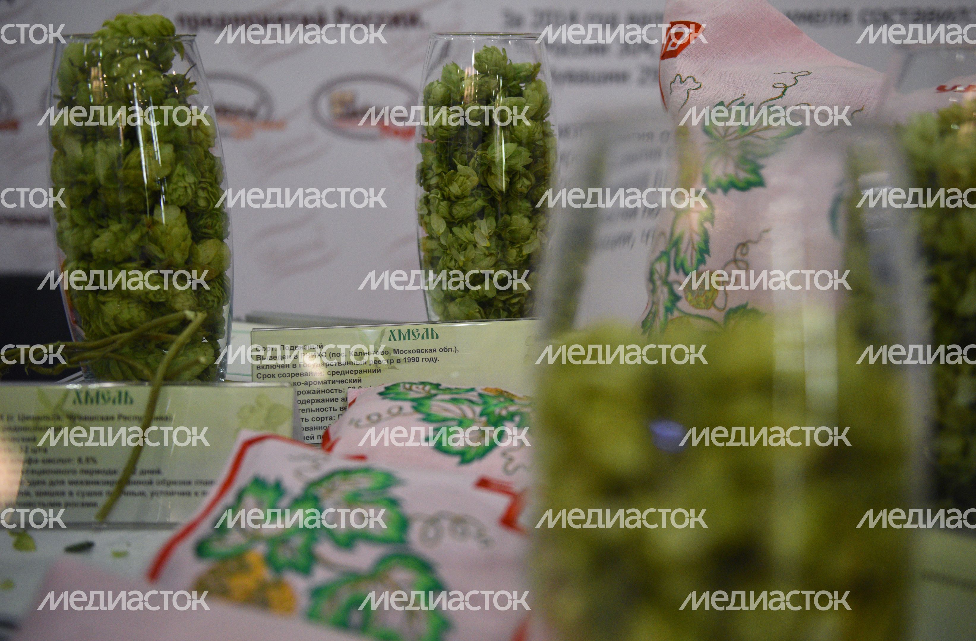 Российская агропромышленная выставка «Золотая осень» в Крокус-Экспо