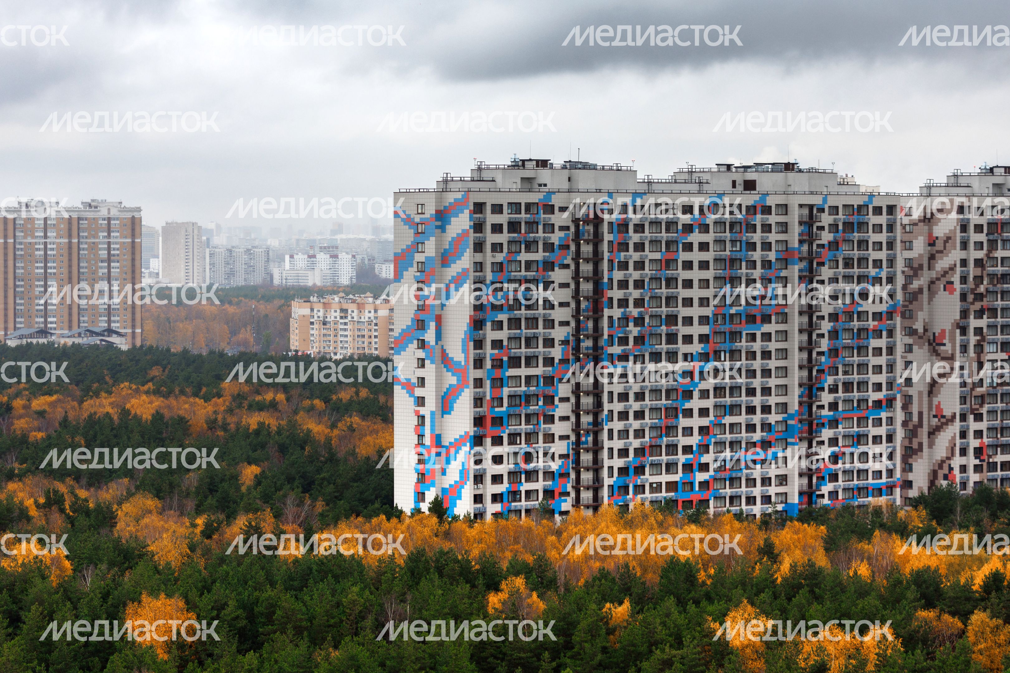 Лесопарк «Кузьминский лес» в Котельниках осенью Лесопарк «Кузьминский лес» в Котельниках осенью