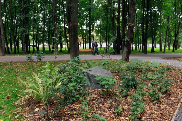 Щелковский центральный городской парк после благоустройства