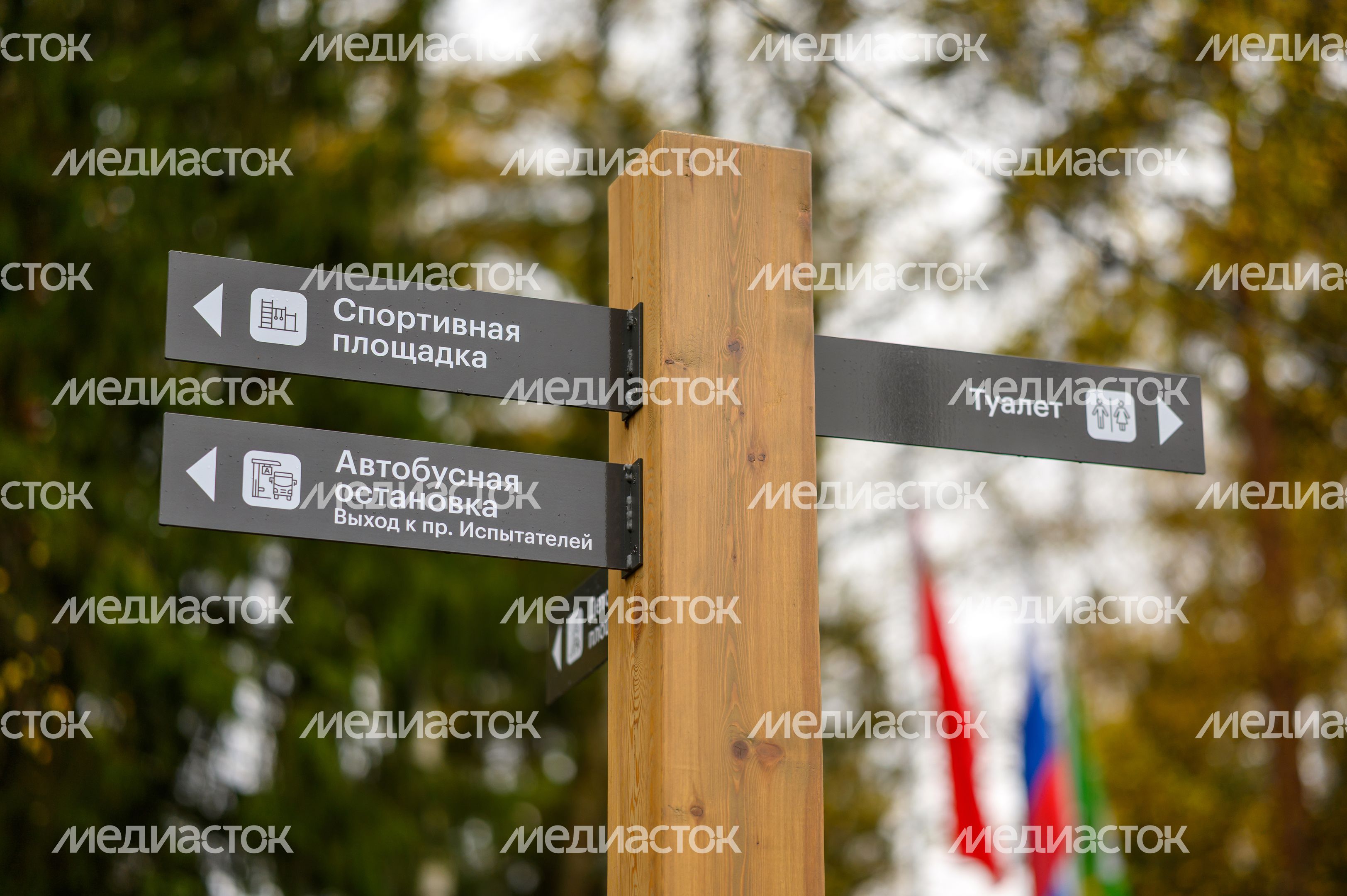 Указатель в лесопарке «Банный лес» в Красноармейске осенью Указатель в лесопарке «Банный лес» в Красноармейске осенью