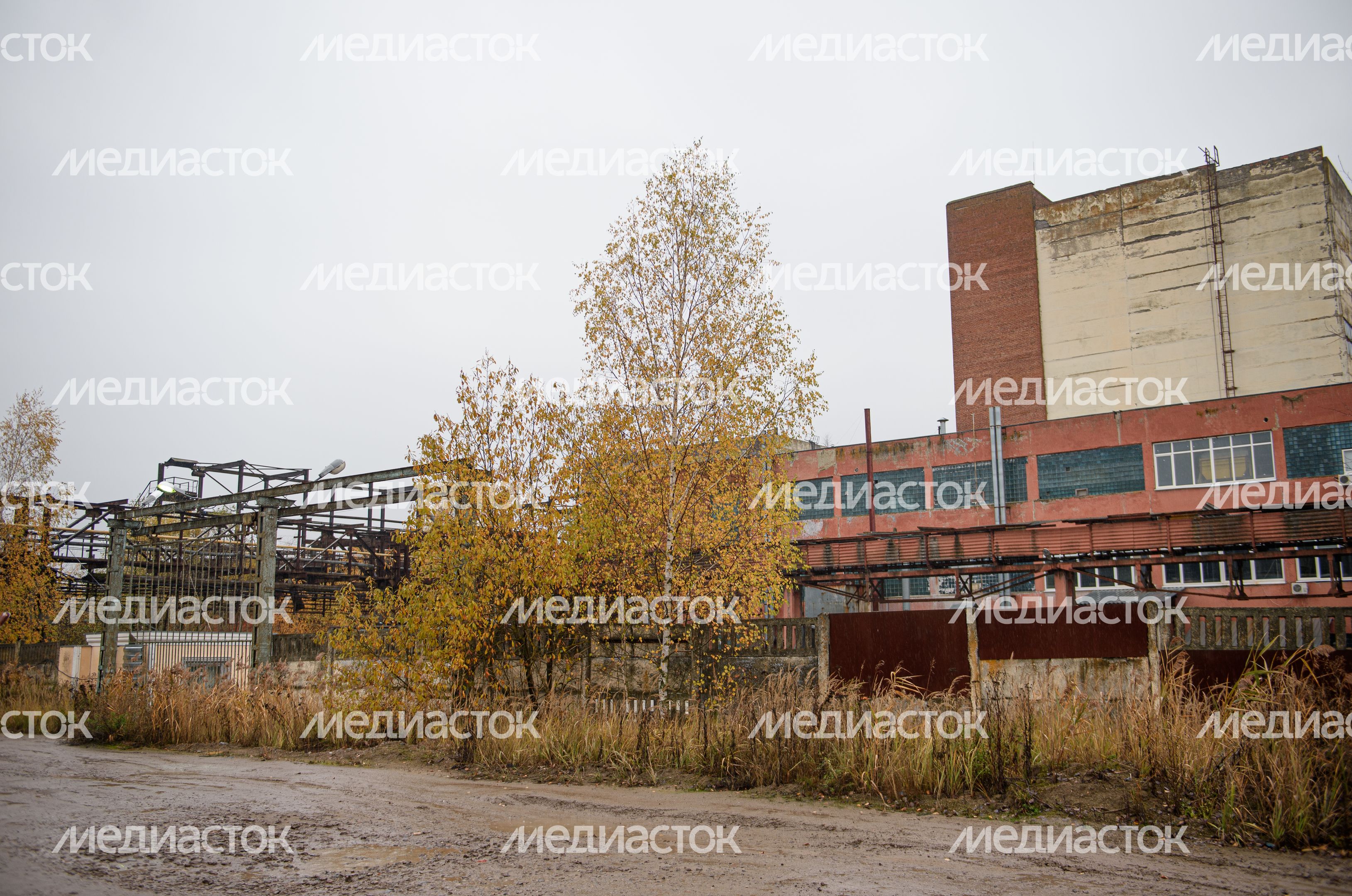 Осенние виды заброшенного завода «Кормофос»