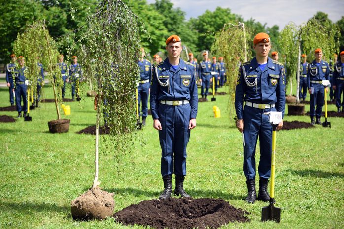 Закладка Березовой рощи на Поклонной горе