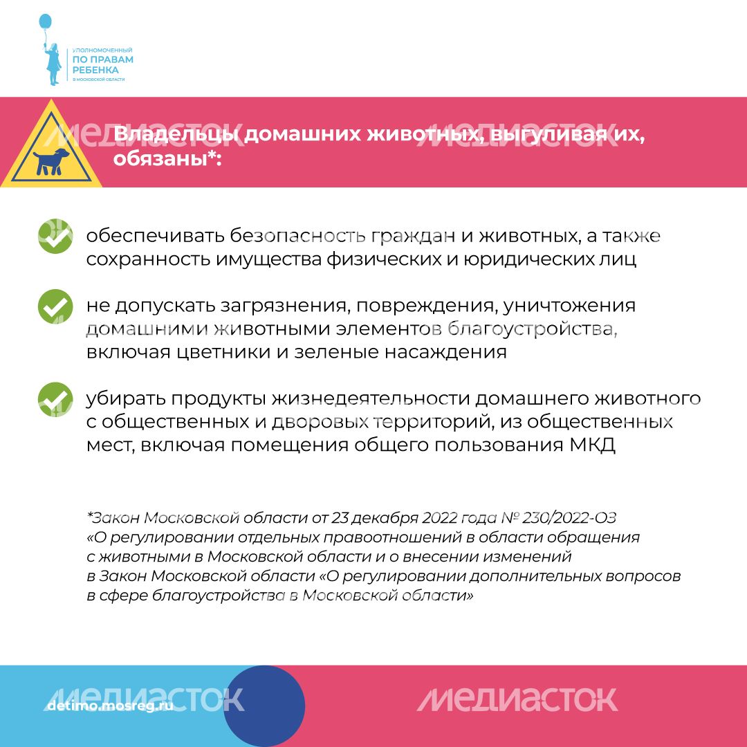 уппр_осторожно_собака_квадрат_5.jpg