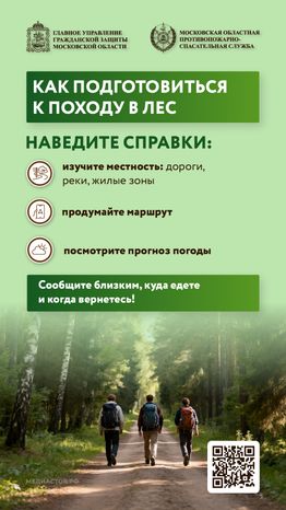 Как подготовиться к походу в лес вертикаль 01