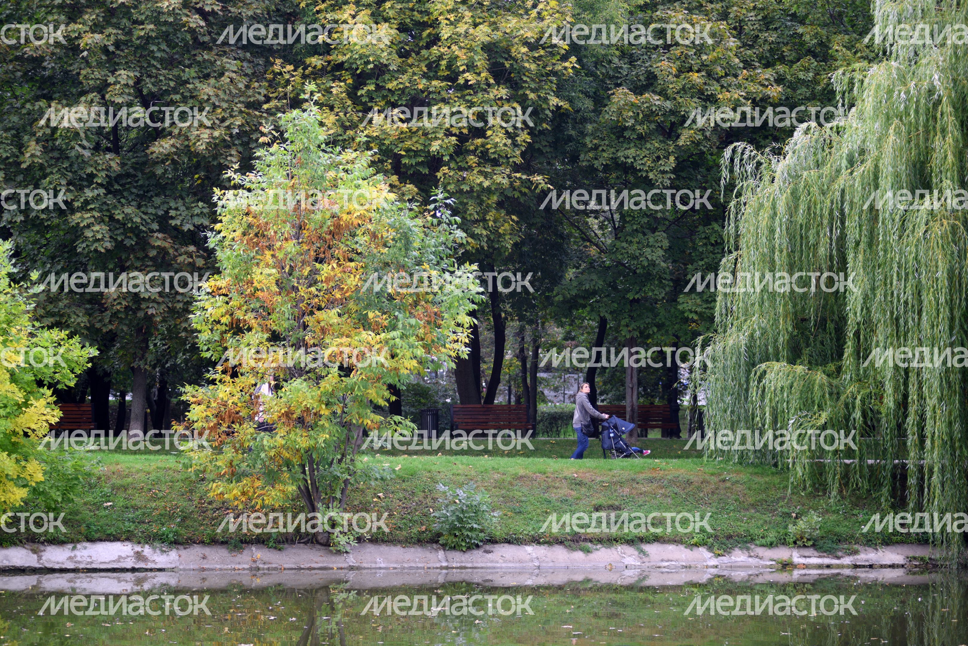 Парк Новодевичьи пруды в Москве