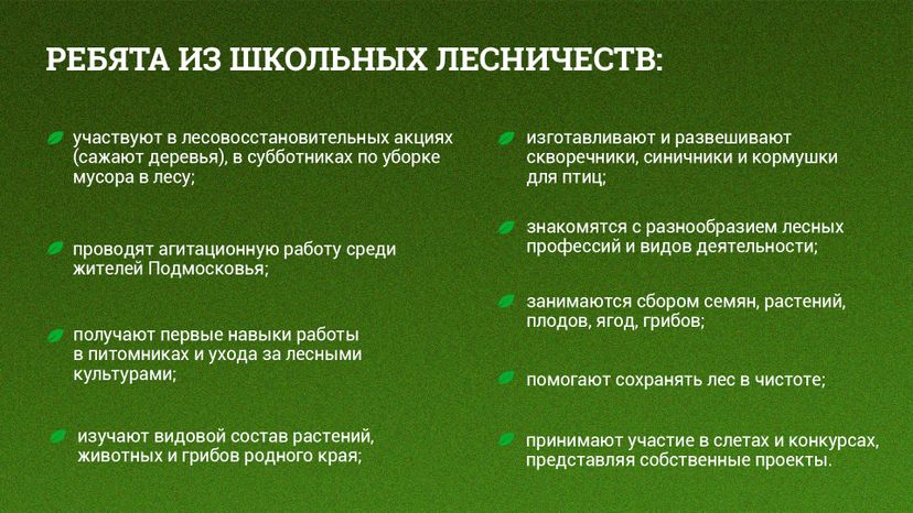 Горизонт_Школьные лесничестваArtboard 3.jpg