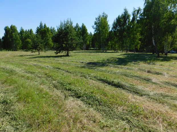 Поселок для медиков появится в Богородском округе