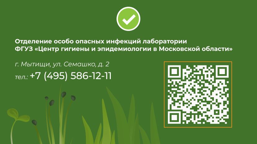 комлесхоз_клещи_гор_10