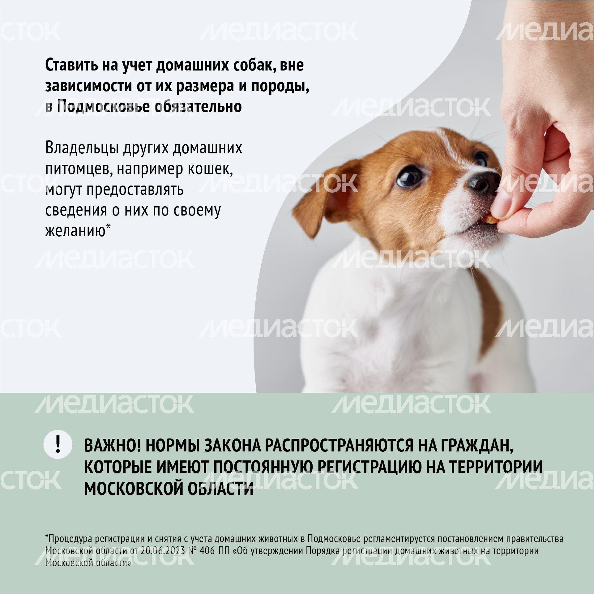 Квадрат зарегистрировать домашнее животное_03-100.jpg