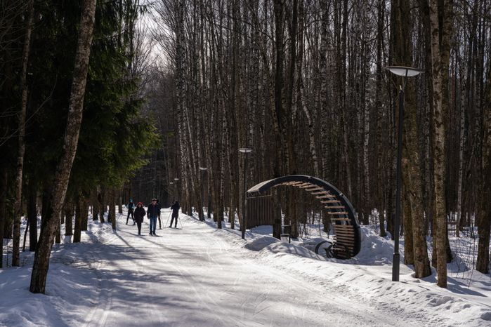 Мещерский парк в Одинцово зимой