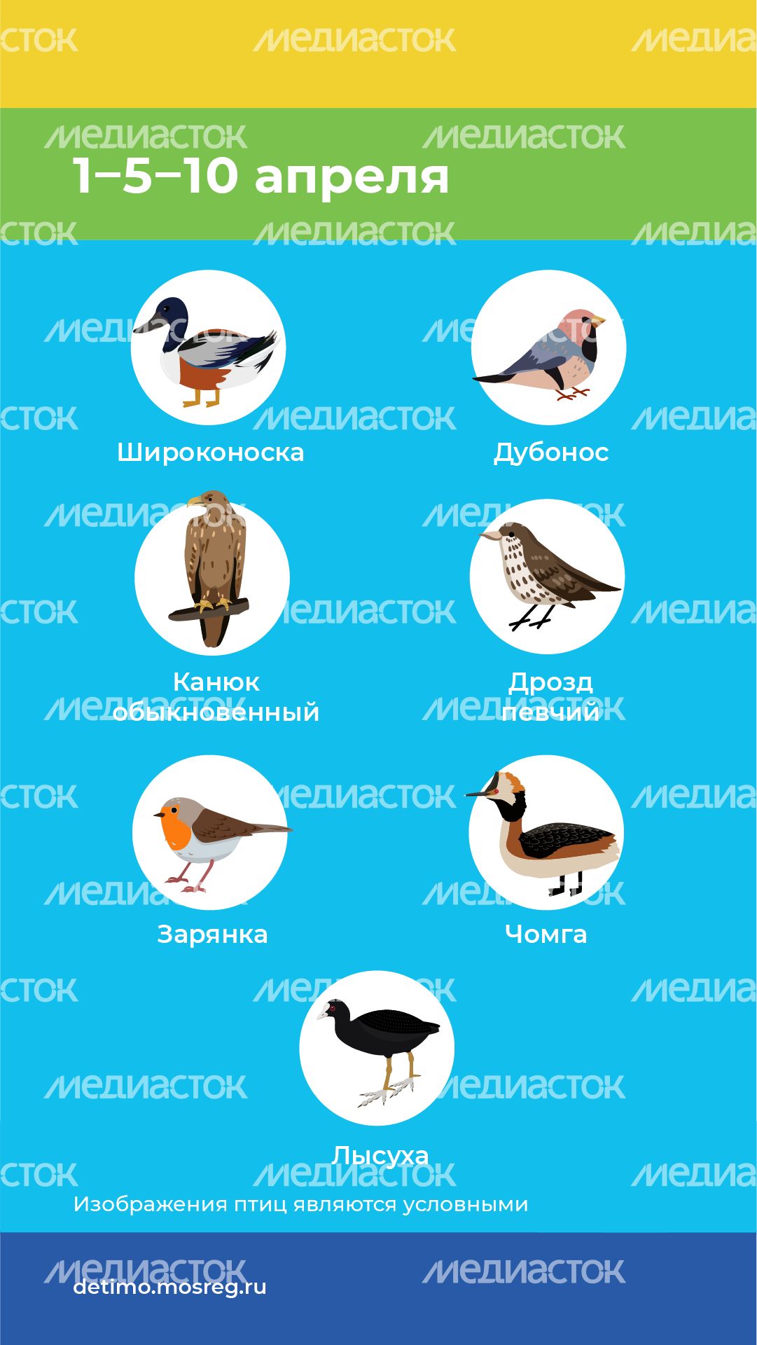 весна летит - вертикаль - 05