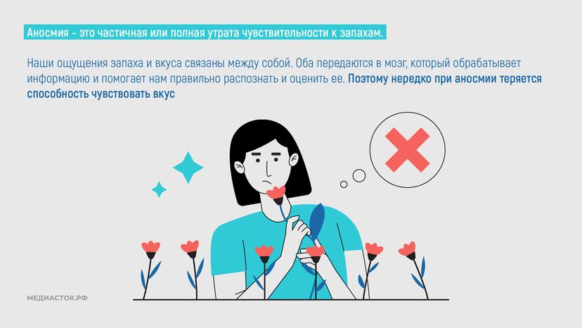 Как употребление психоактивных веществ влияет на обоняние горизонталь 04