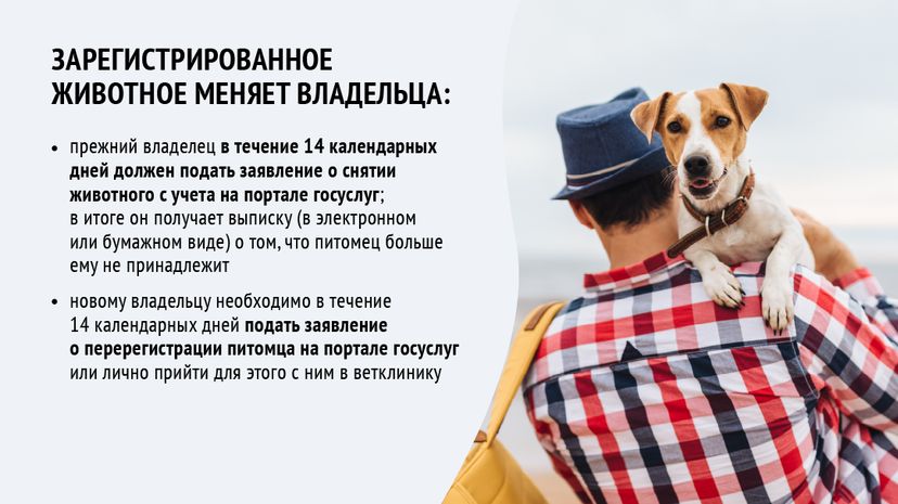 Зарегистрировать домашнее животное ред 2-горизонталь-09.png