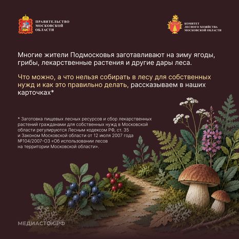 Ягоды, грибы, лекарственные растения квадрат 02