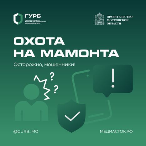 Мошенническая схема Мамонт квадрат 01