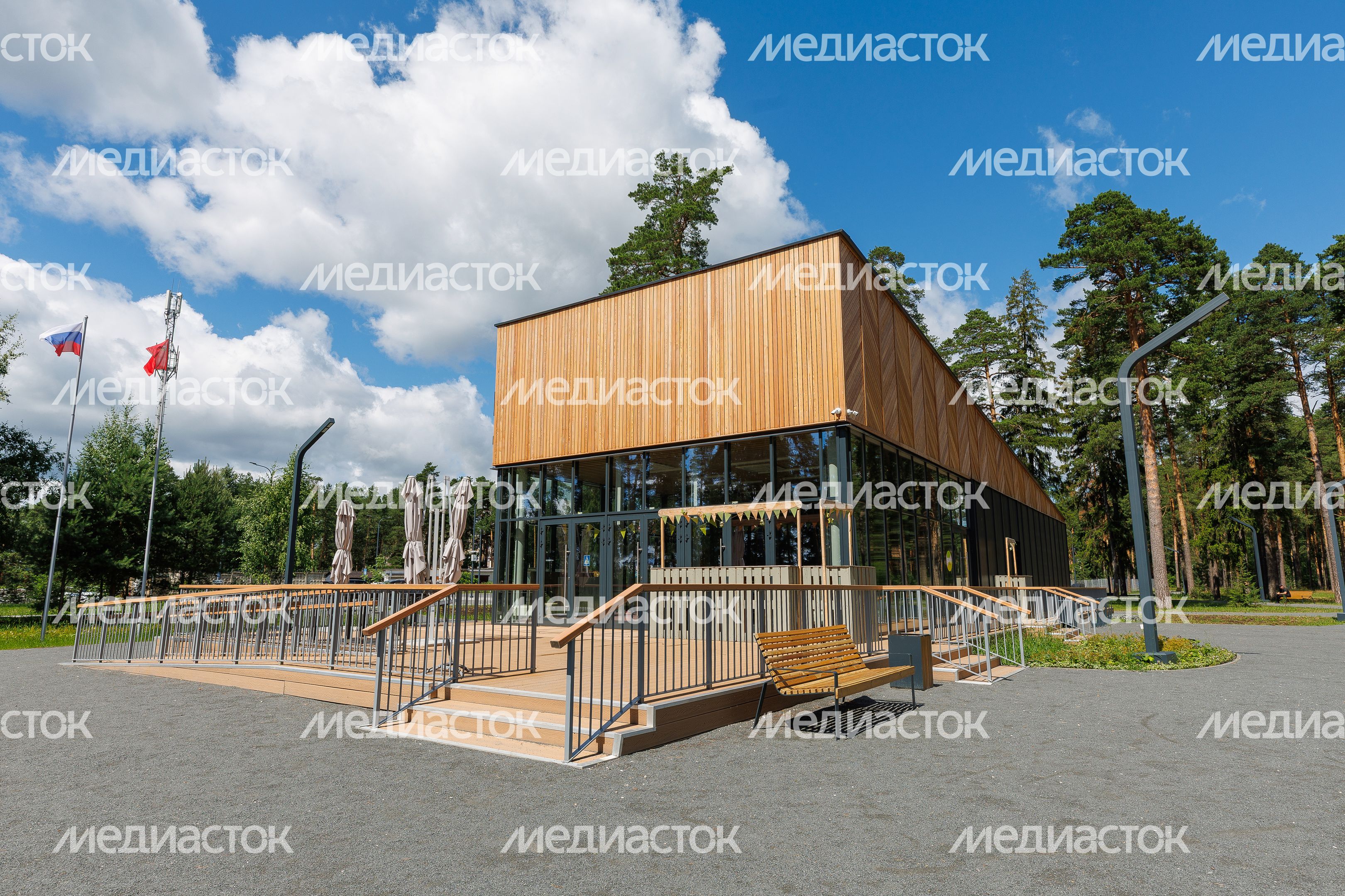 Лесопарк «Стрелки» в Орехово-Зуево летом