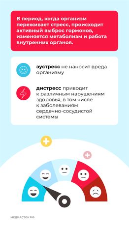 Стресс вертикаль 04
