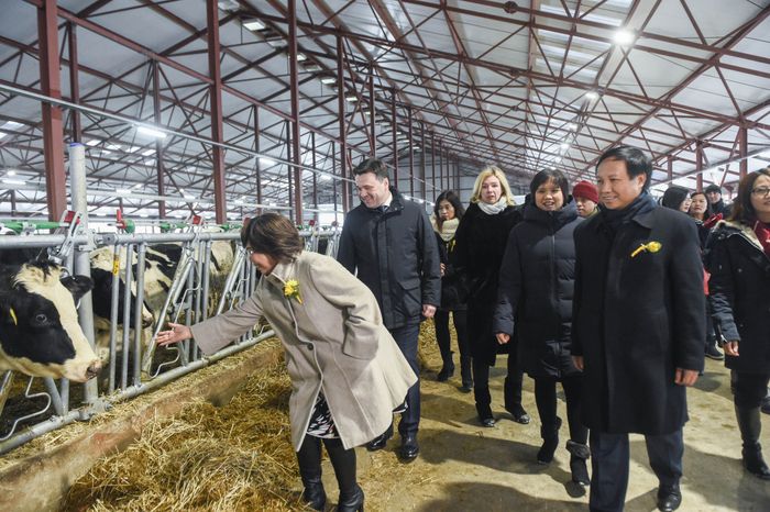 Открытие нового молочного комплекса TH True Milk в Подмосковье, 2 часть