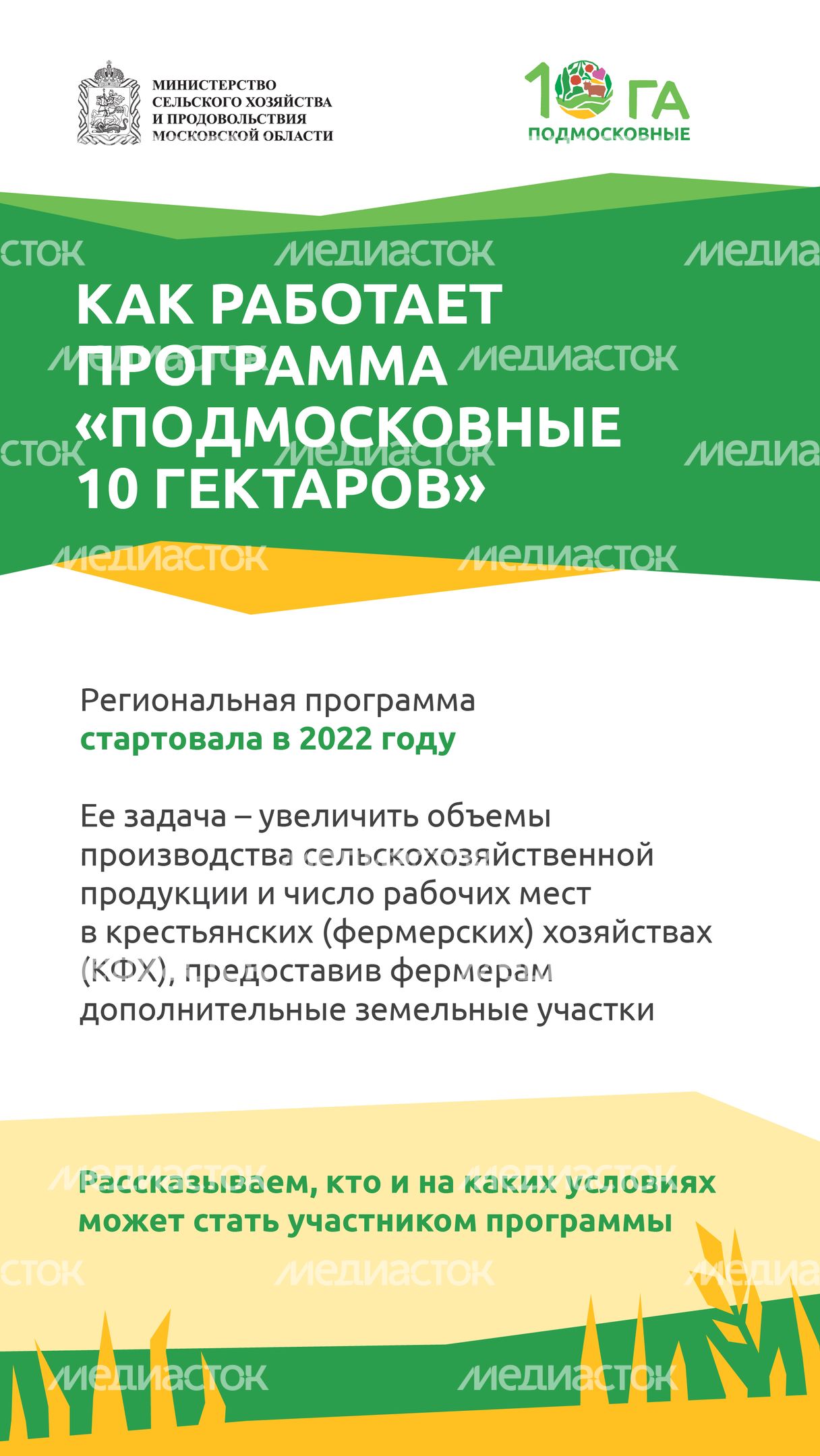 _Подмосковье 10г_-01.jpg