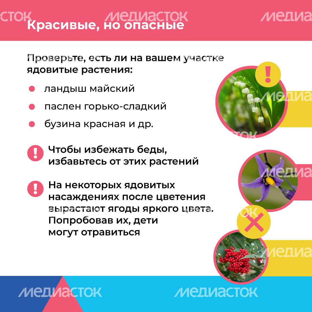 Отдых на даче с детьми квадрат (7).png