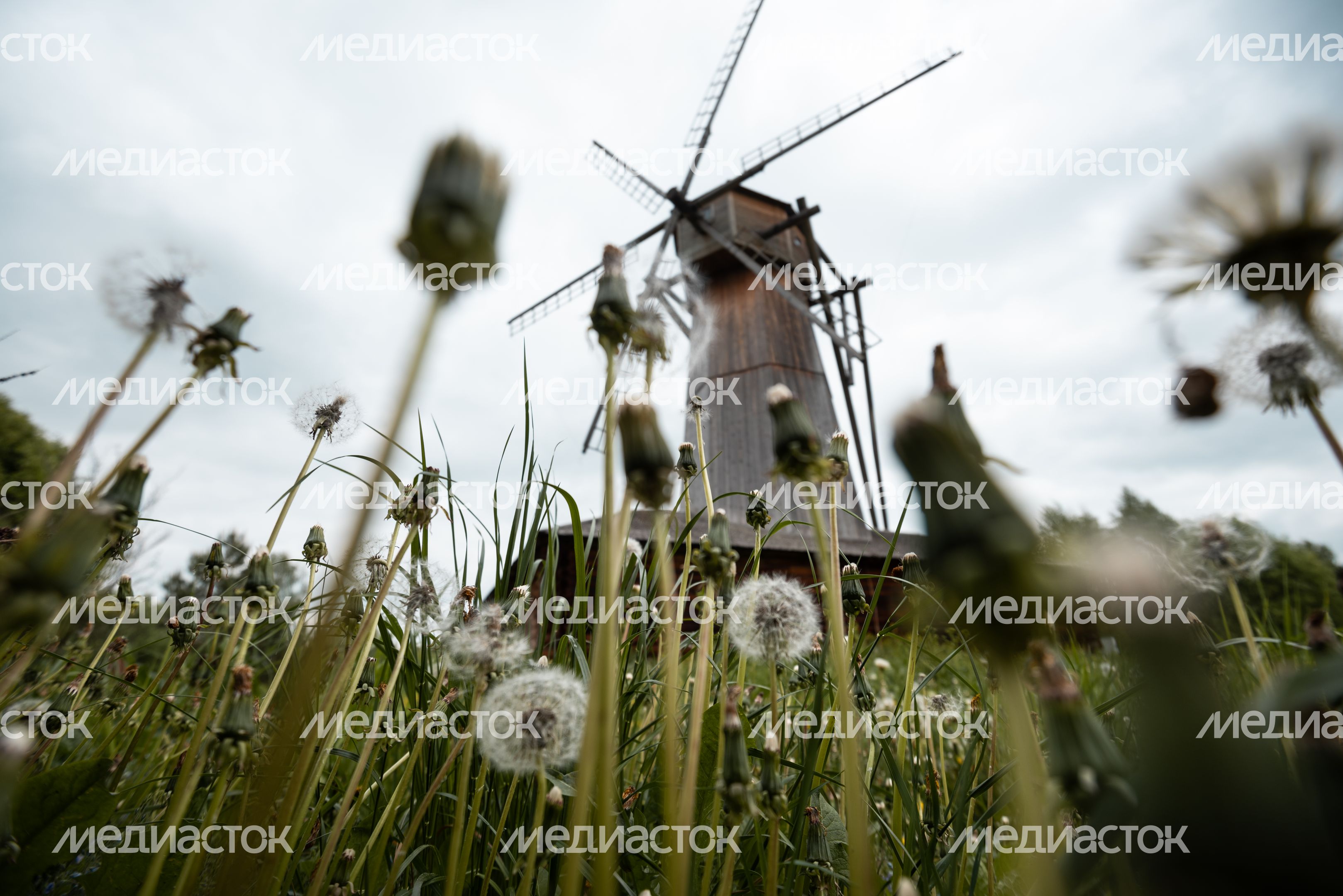 Мельница в Истре