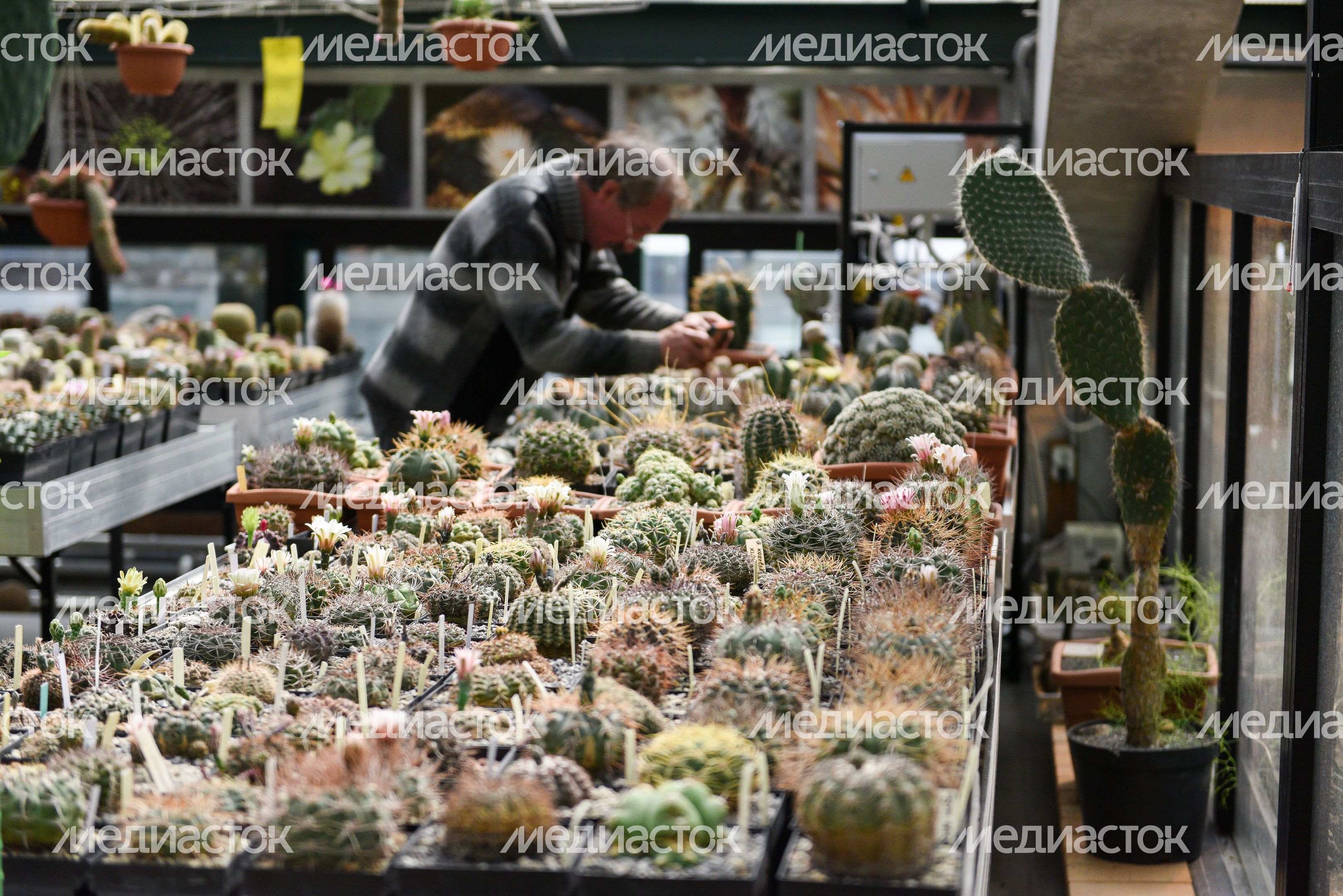 Ботанический сад МГУ «Аптекарский огород»