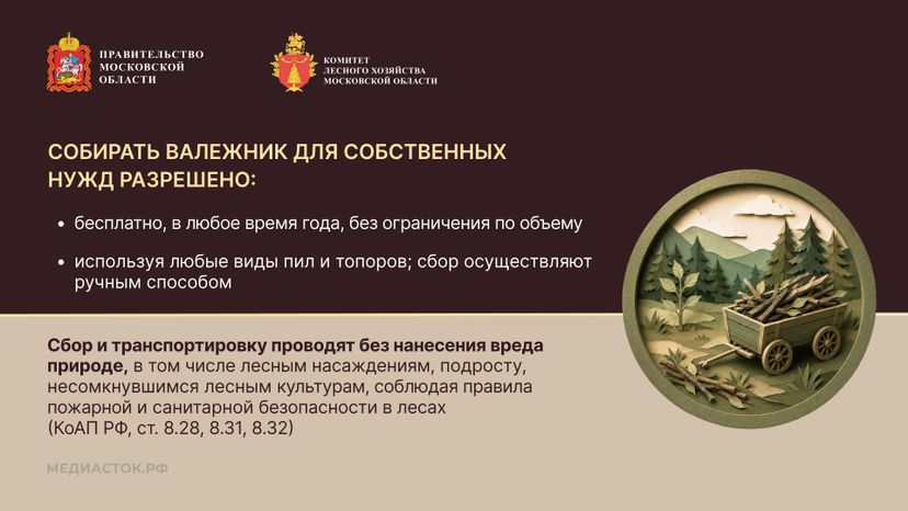 Валежник для собственных нужд горизонталь 06