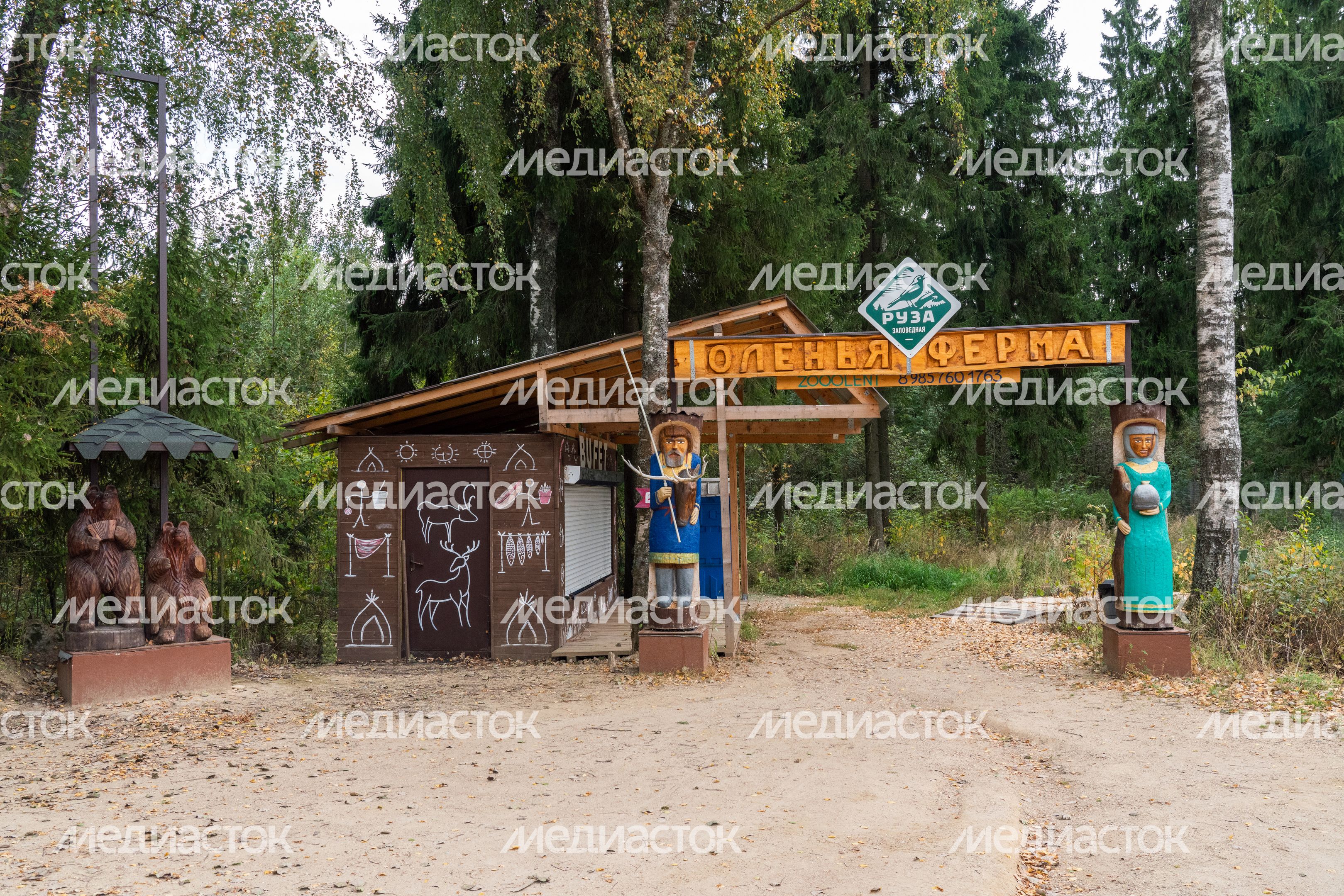 Оленья ферма ZooОleni в Рузском округе летом