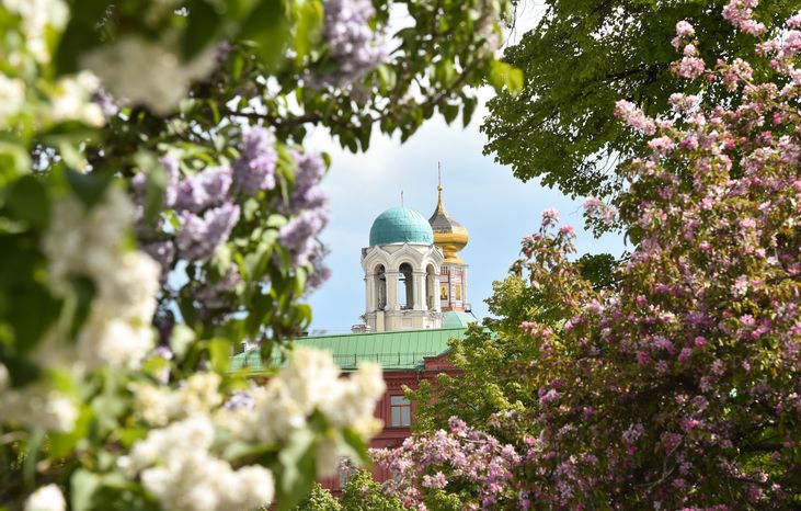 Повседневная жизнь в Москве в период цветения
