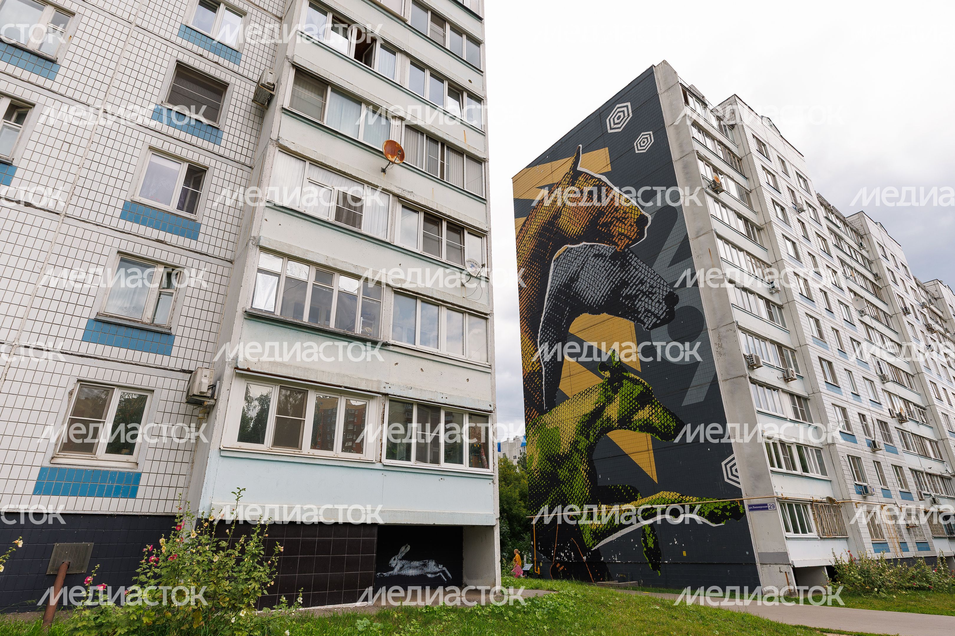 Муралы в Железнодорожном, Балашиха