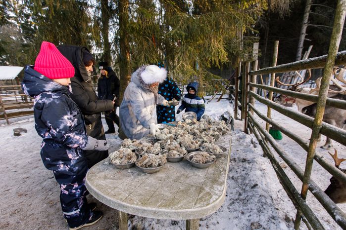 Оленья ферма ZooОleni в Рузском округе