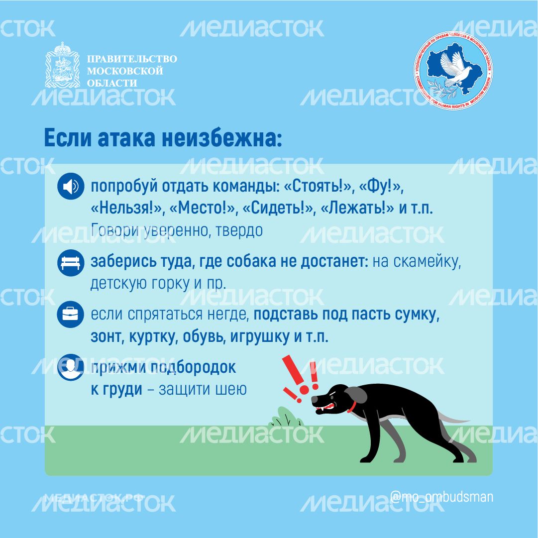 Осторожно злая собака квадрат 06 Осторожно злая собака квадрат 06