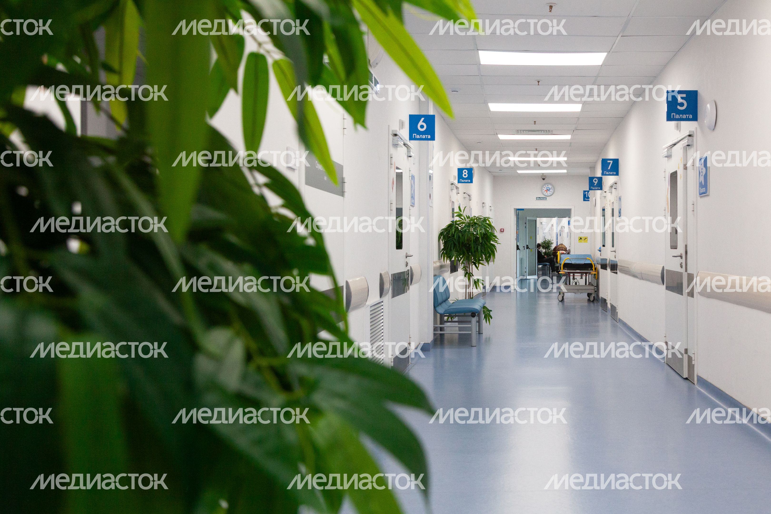 Детский клинический центр им. Л.М. Рошаля в Красногорске Детский клинический центр им. Л.М. Рошаля в Красногорске