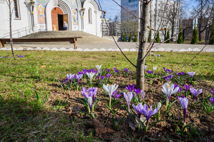 Весна в Сергиево-Посадском округе