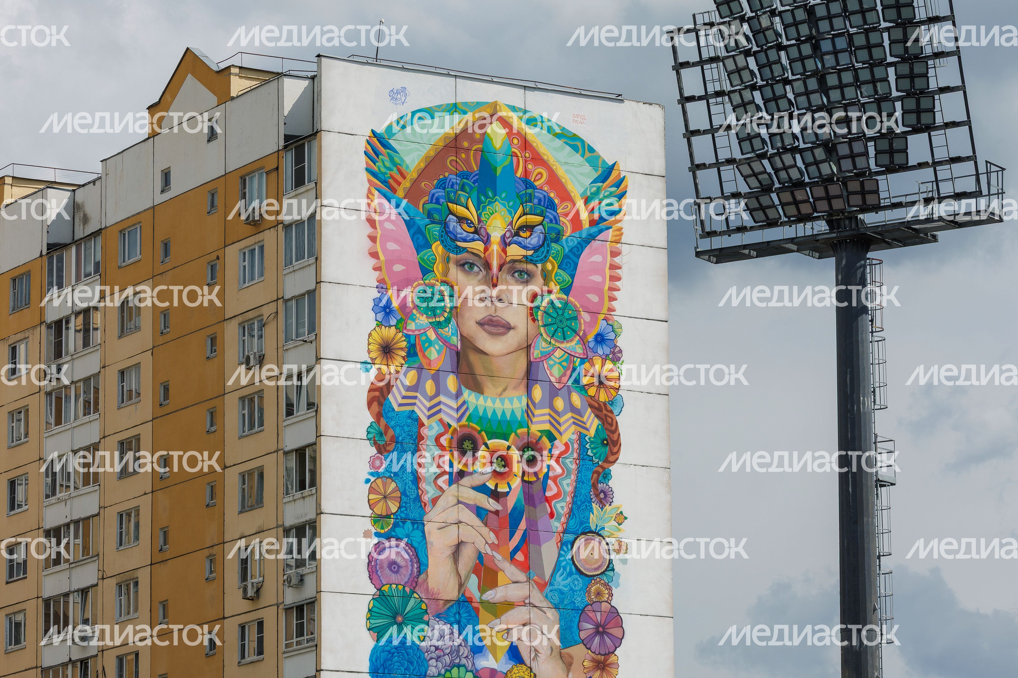 Муралы в Железнодорожном, Балашиха
