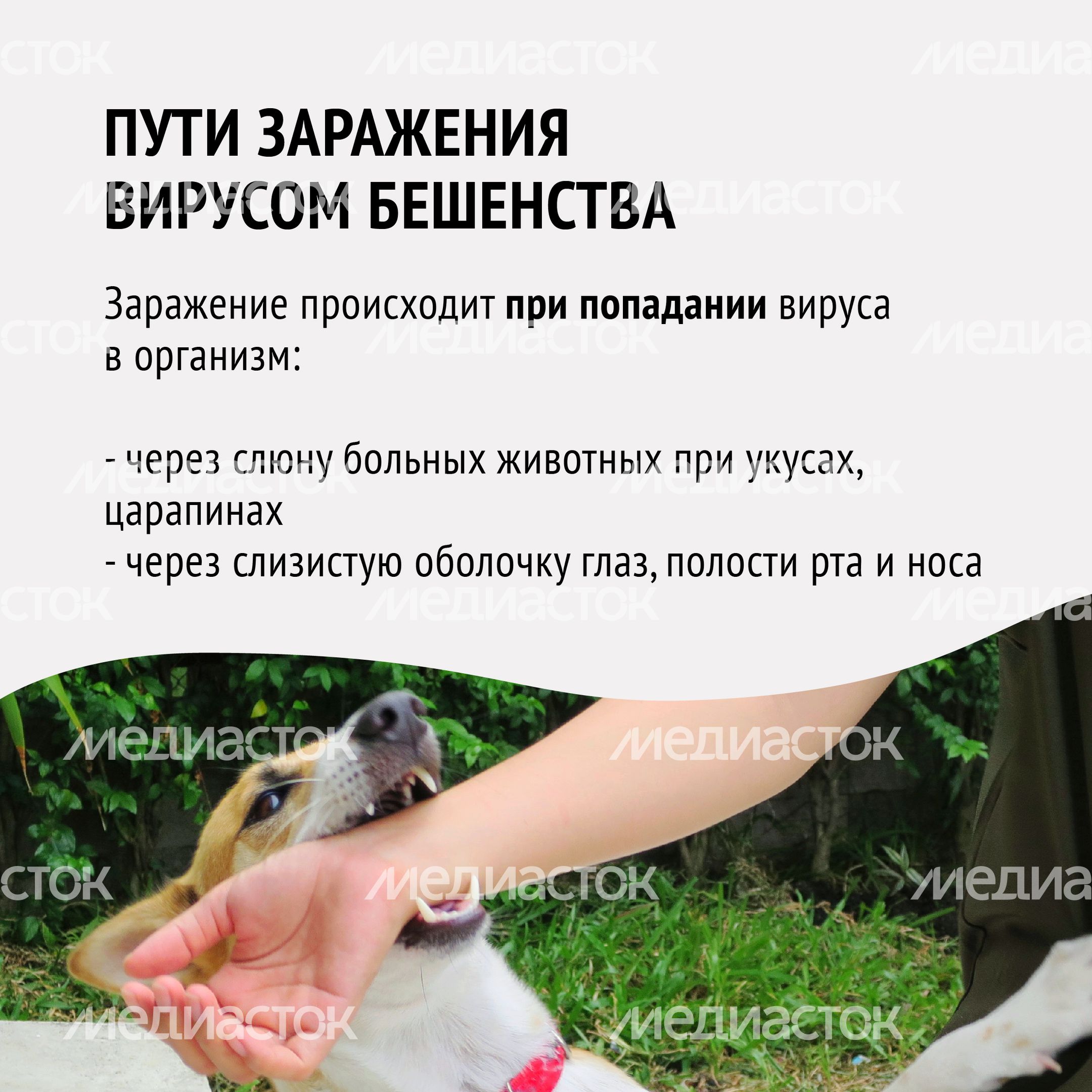 Вакцинация