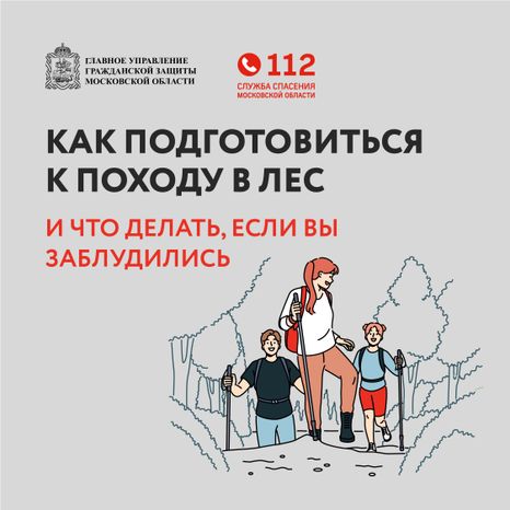 Как подготовиться к походу в лес-квадрат-01