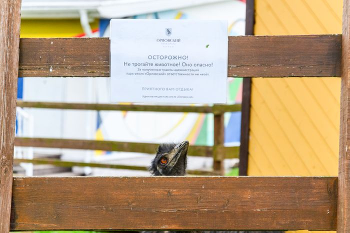 Зоопарк в парк-отеле «Орловский» в Ленинском округе