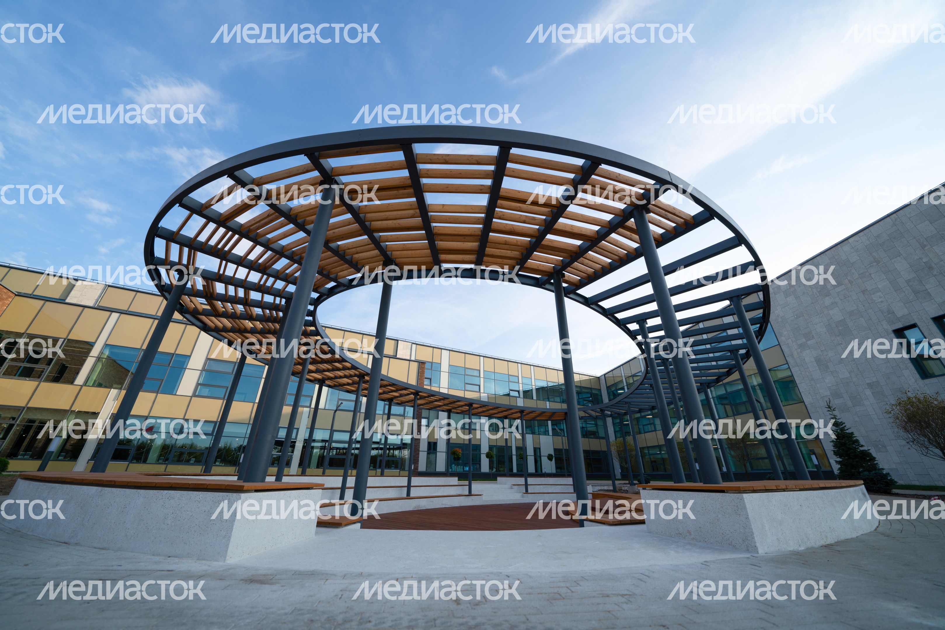 Истра. Областной технолицей им. В.И. Долгих