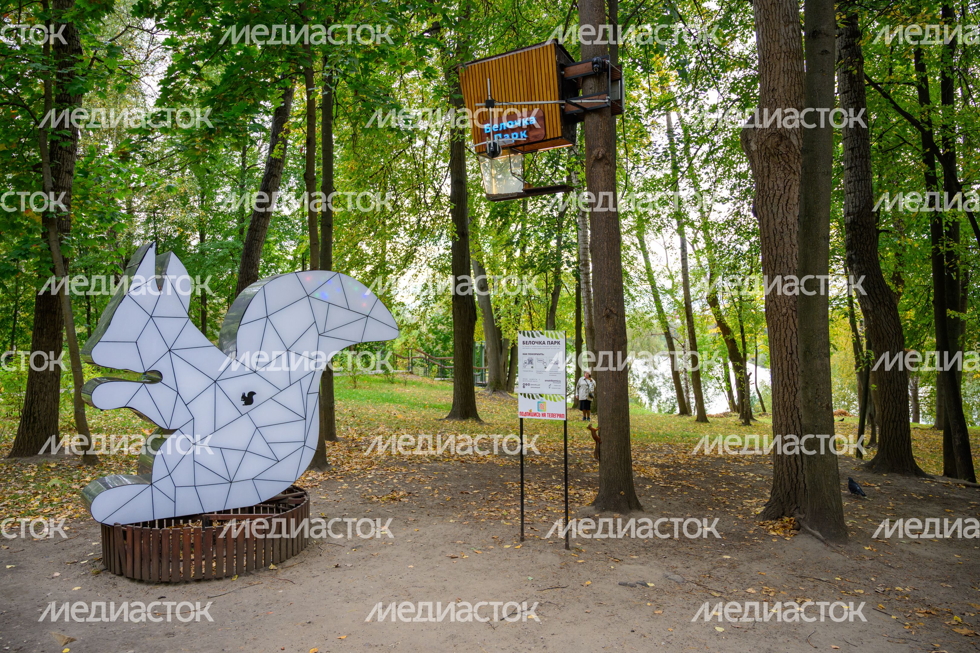 Раменский городской парк культуры и отдыха. Осень